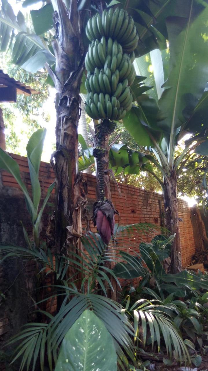 Posada Maria Iguazu Apartment Puerto Iguazu Exterior photo